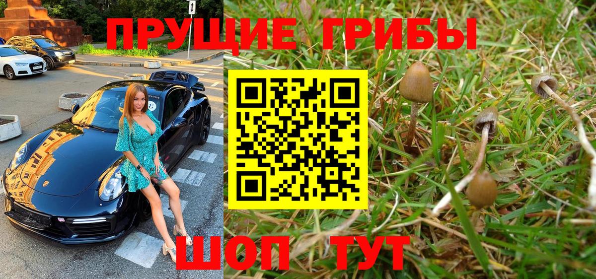 Новокубанск  Галлюциногенные грибы Psilocybe  где купить   Вход с VPN 
